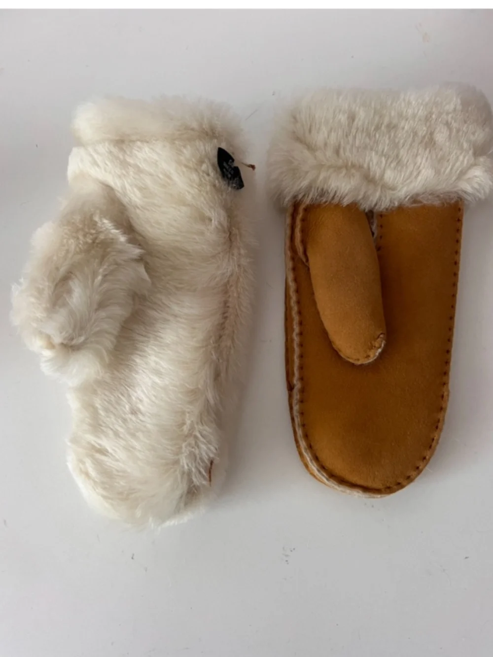 Altare Suede & Shearling Mittens